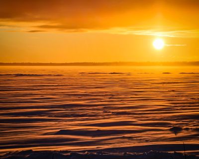 Frozen Desert by Virginia Cowan